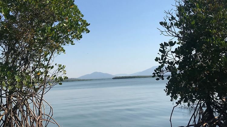 Diesen Blick kann Craig Beckey von seiner Insel Worthington Island genießen.