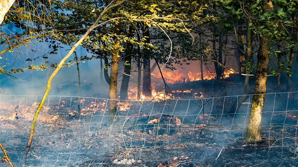Der-neue-Loeschroboter-soll-die-Risiken-fuer-die-Feuerwehrleute-bei-schwierigen-Einsaetzen-minimieren-etwa-bei-der-Waldbrandbekaempfung
