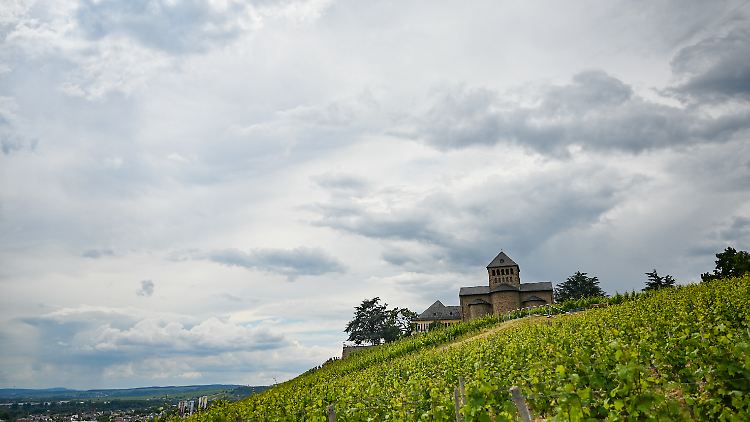 Schloss Johannisberg steht in den Weinbergen oberhalb von Winkel in Hessen.