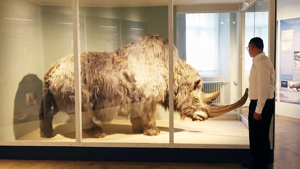 Die-Sonderausstellung-praesentiert-rund-150-Exponate-wie-Fossilien-Knochen-Fotos-und-Zeichnungen