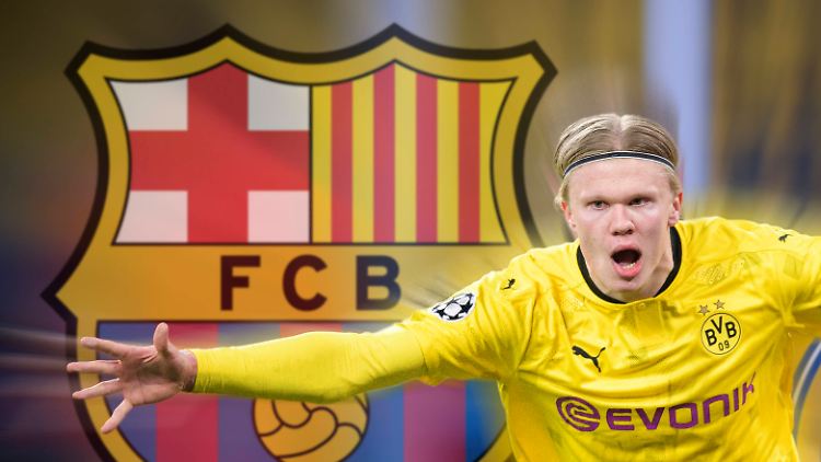 Mehr als ein Fiebertraum? Der FC Barcelona schielt wieder einmal auf Erling Haaland.