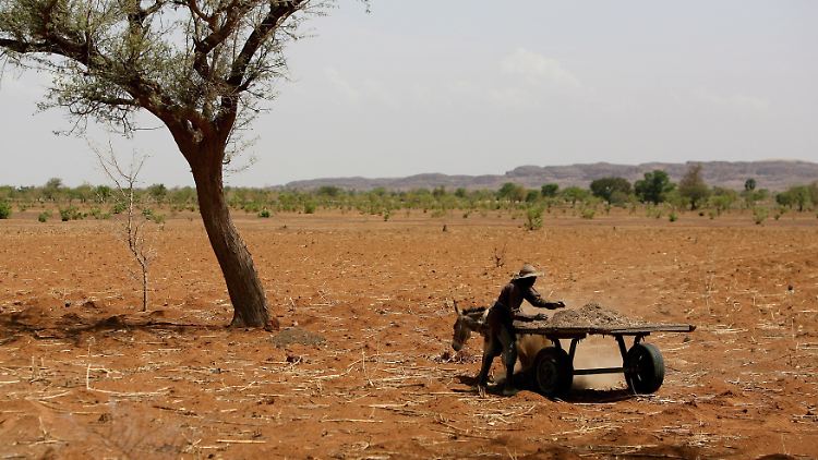 Der Sahel ist bereits so trocken, dass er kaum bewirtschaftet werden kann. Was, wenn er noch trockener wird?