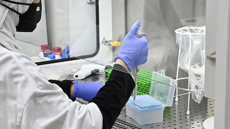 PCR-Tests gelten als "Goldstandard" unter den Corona-Tests. Schnelltests sind günstiger, aber auch weniger zuverlässig.