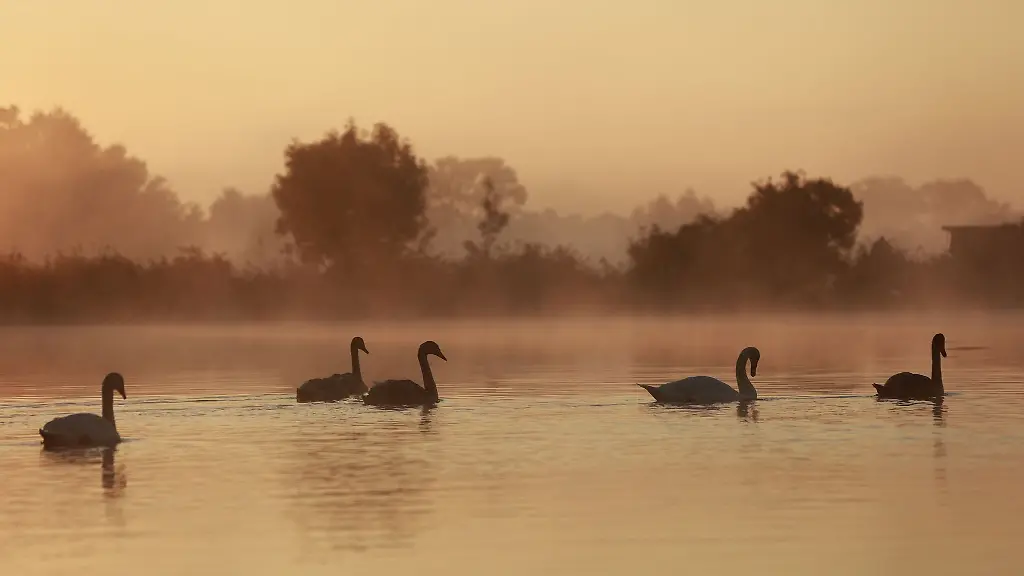 Der-Wind-mit-orkanartigen-Boeen-auf-dem-Brocken-schwaecht-sich-ab-Das-Wochenende-wird-herbstlich-kuehl-aber-nicht-unfreundlich