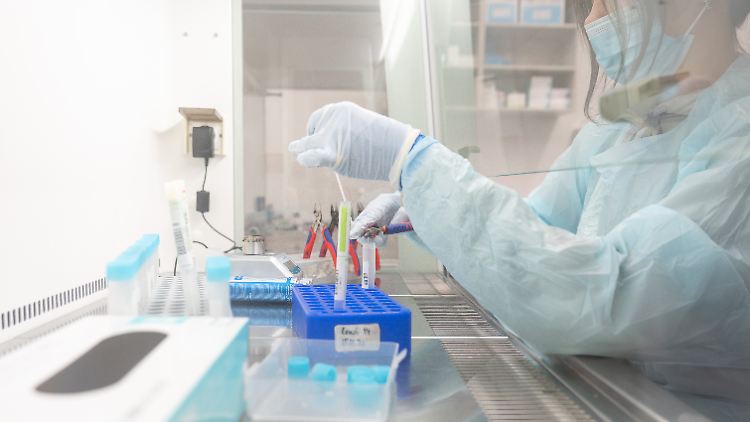 Wegen der erwarteten Menge an Corona-Tests schlagen manche Labore bereits Alarm.
