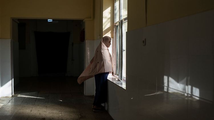 Seit der Machtübernahme durch die Taliban ist das Schutzsystem für Frauen fast völlig zusammengebrochen.