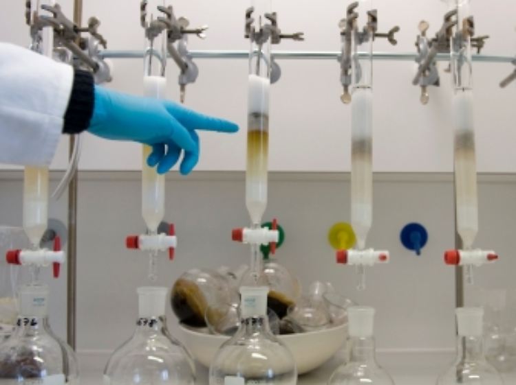 Laborproben haben ergeben, dass im Futterfett der Firma Harles und Jentzsch tatsächlich erhöhte Dioxin-Werte vorliegen.