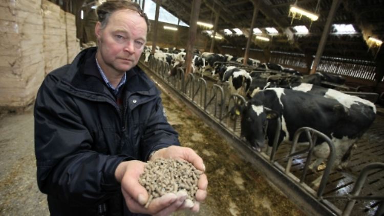Milchbauer Jürgen Spreen-Ledebur aus Ostwestfalen zeigt eventuell mit Dioxin verunreinigtes Futter, das er unwissentlich an seine Kühe verfüttert hat. 1700 Liter Milch muss der Landwirt nun täglich wegschütten.