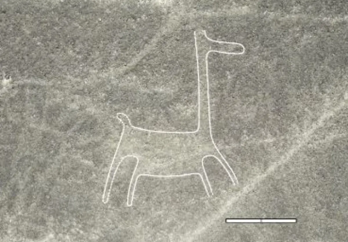 Nicht-weiterverwenden