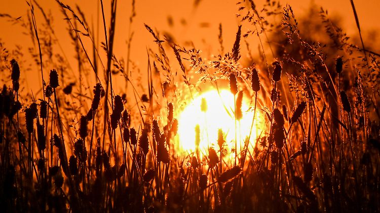  In Europa wurde im Jahr 2021 der wärmste Sommer seit Beginn der Aufzeichnungen gemessen.