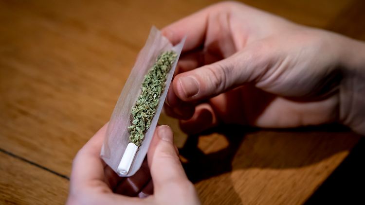 Auch die Cannabiswirtschaft setzt auf geschultes Personal.