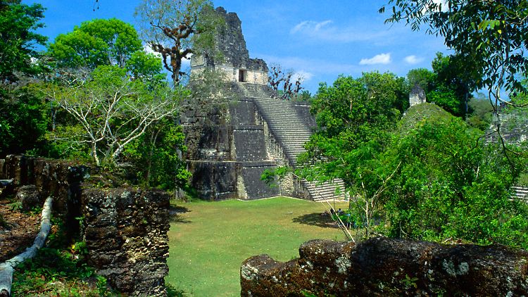 Die hohen Quecksilberwerte fanden sich unter anderem in der Maya-Stätte Tikal im Norden von Guatemala.