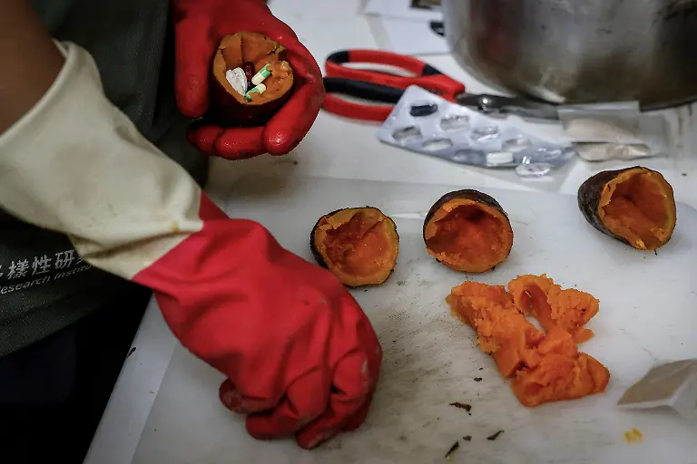 2024-08-27T230045Z-770915704-RC2QM7A70PGZ-RTRMADP-3-TAIWAN-WILDLIFE-FORMOSAN-BEARS