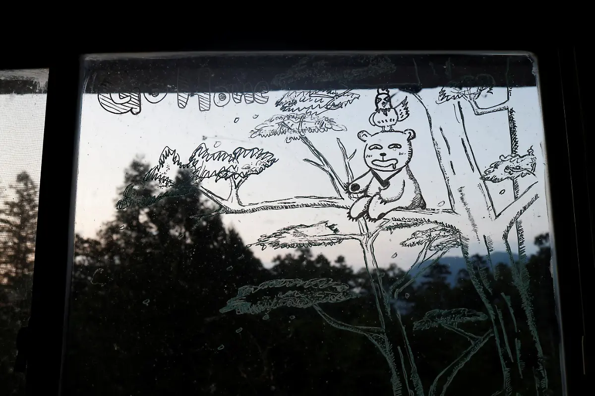 2024-08-27T230043Z-499074699-RC2YQ7AWTCFP-RTRMADP-3-TAIWAN-WILDLIFE-FORMOSAN-BEARS