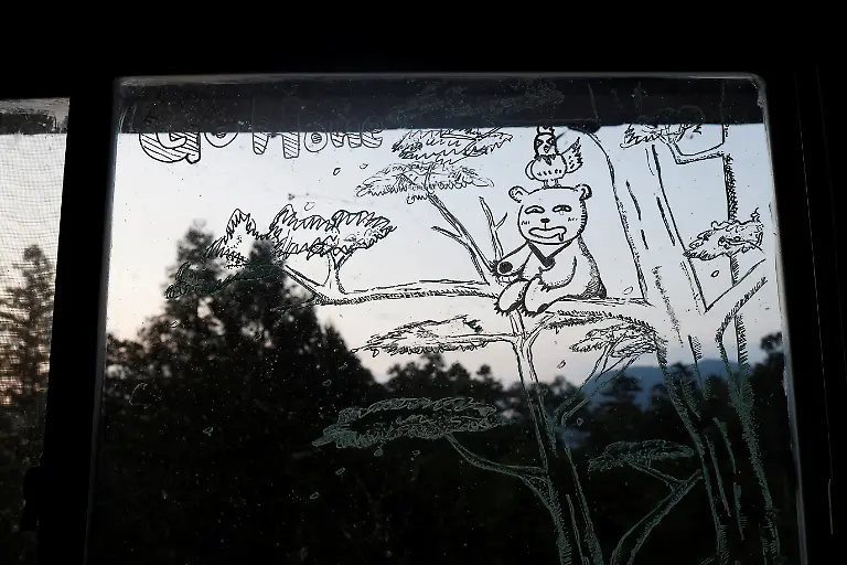 2024-08-27T230043Z-499074699-RC2YQ7AWTCFP-RTRMADP-3-TAIWAN-WILDLIFE-FORMOSAN-BEARS