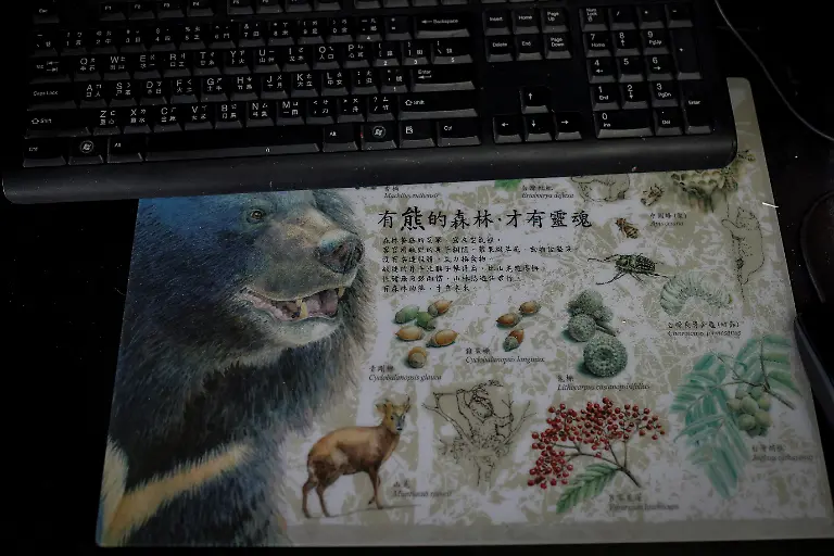 2024-08-27T230039Z-2099448127-RC2TQ7ALPU3G-RTRMADP-3-TAIWAN-WILDLIFE-FORMOSAN-BEARS