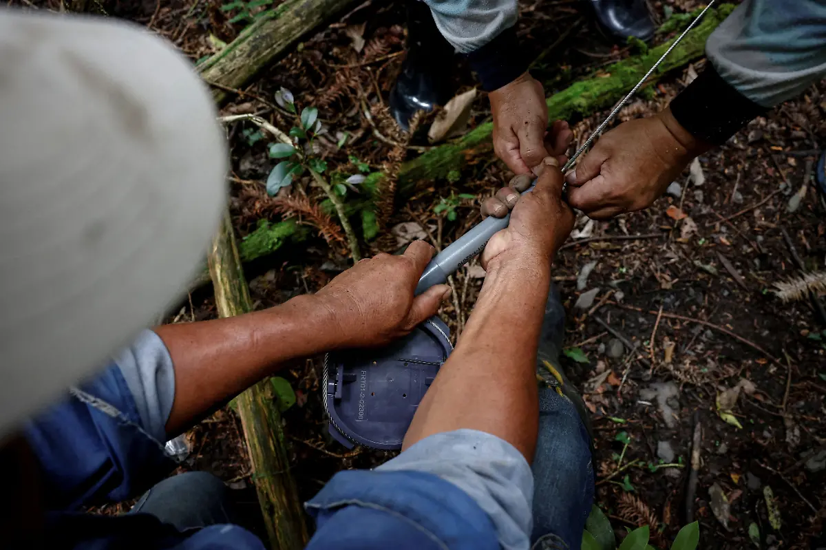Pan-Wen-Ming-mit-neuer-Falle2