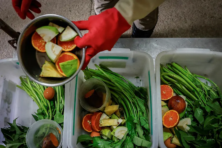 2024-08-27T230036Z-853862935-RC2QM7AIN0XB-RTRMADP-3-TAIWAN-WILDLIFE-FORMOSAN-BEARS