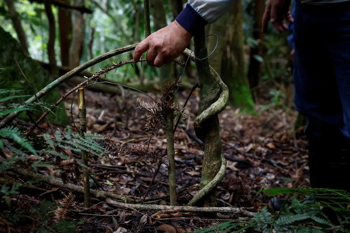 traditionelle-Fallen