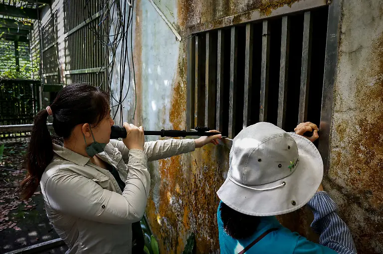Chen-Szu-Hua-L-and-animal-caretaker-Liu-Min-Hui