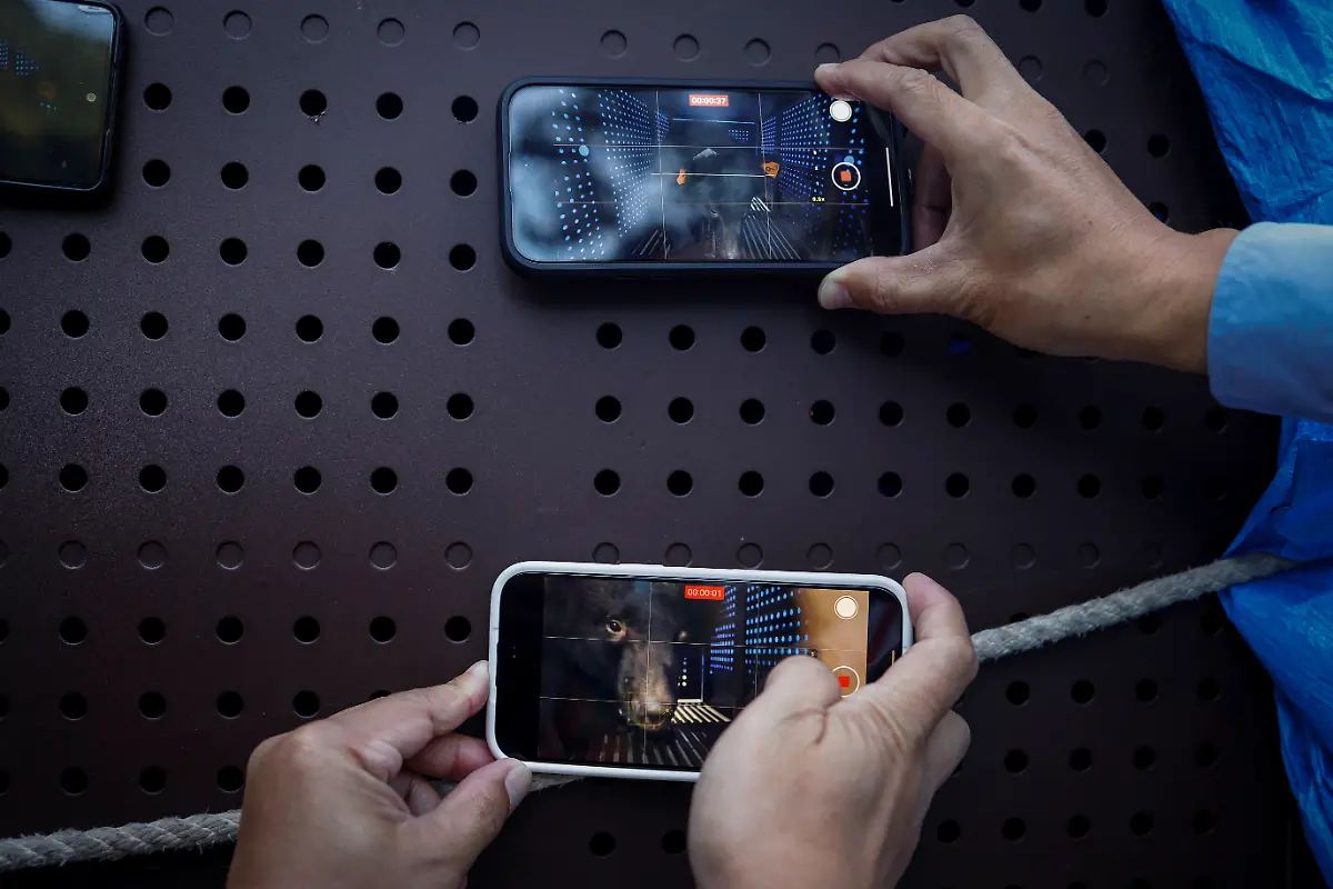 Fotos-von-Ziman-im-Kaefig