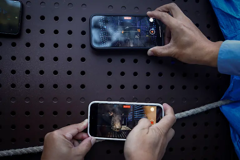 Fotos-von-Ziman-im-Kaefig