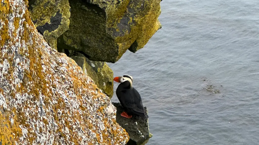 3a39f4aba40deadd84c10d611b4767cc