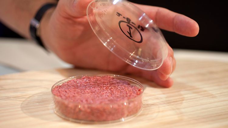 Fleisch aus dem Labor könnte dem Klima helfen.