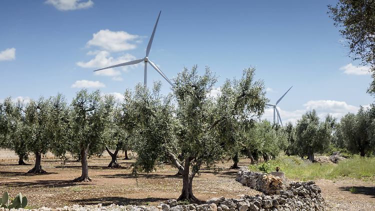 Windräder im süditalienischen Apulien. Die Stromerzeugung aus Erneuerbaren Energien in Italien ist noch ausbaufähig.