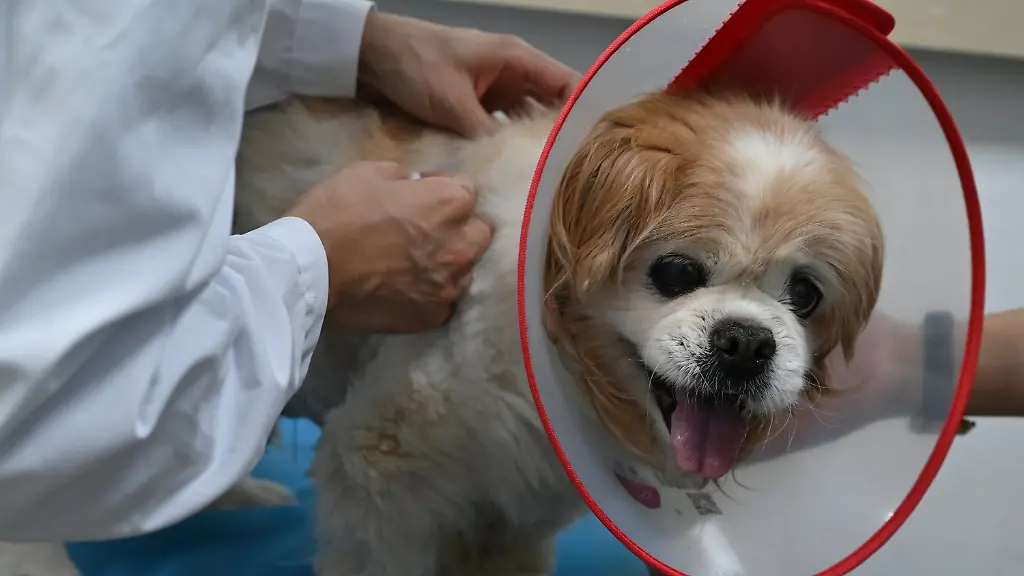 2350ddf3dde9857d3ed861044aac938c