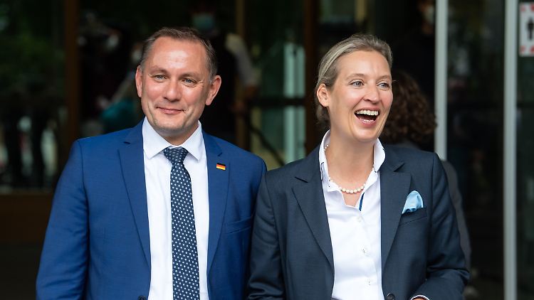 Heimat, Patriotismus, Mittelstandsfreundlichkeit - die Schlagwörter mit denen sich die zerrissene AfD profilieren will. Ob ihnen das mit Hilfe der FPÖ gelingt?