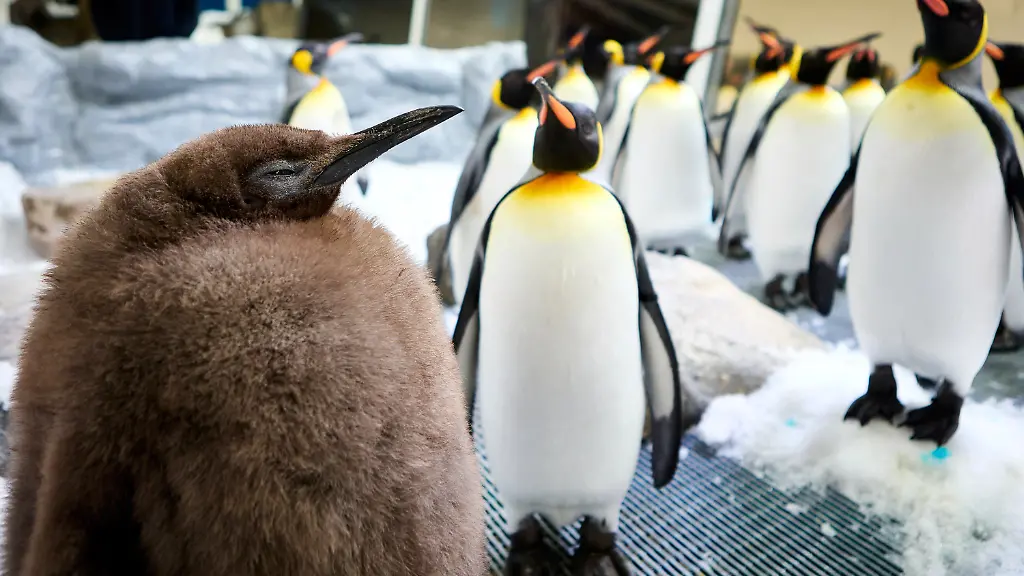 28bb9cd3ff862d60b3182a76e8380aa9