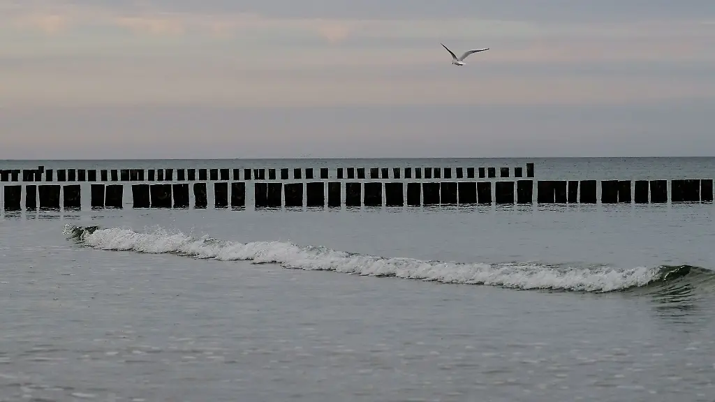 Bis-Ende-Februar-2025-sollen-die-Rammarbeiten-am-Strand-von-Prerow-abgeschlossen-sein