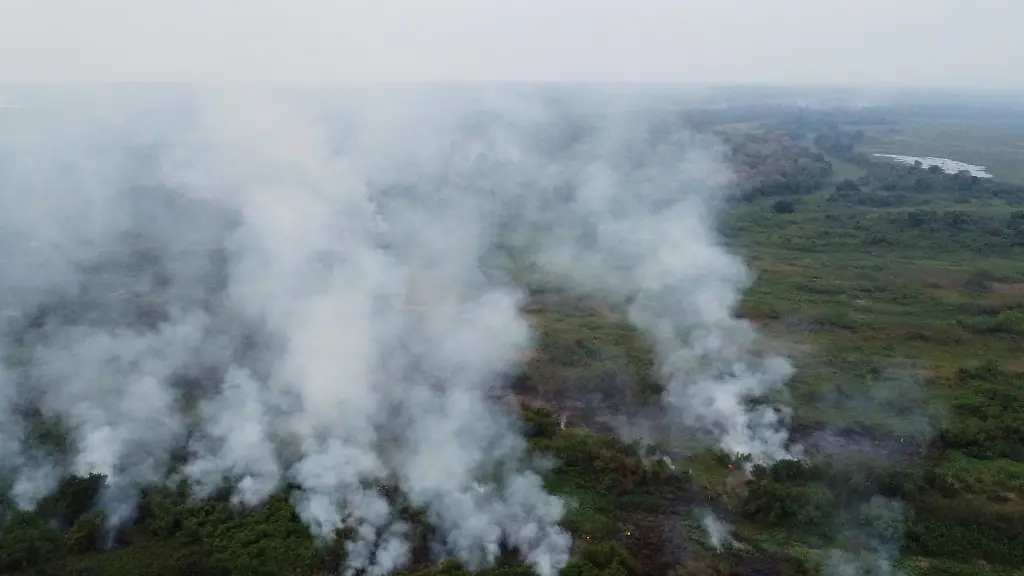 43c1a798cca9ace9db94dcb756e3c3c2