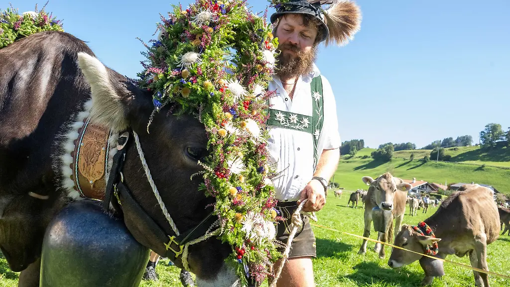 Ueber-30-000-Tiere-verbrachten-den-Sommer-auf-den-Bergweiden