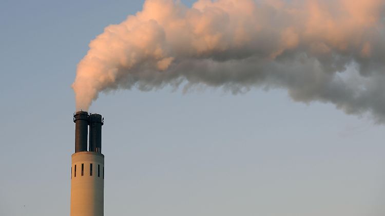 Immer mehr Unternehmen wollen CO2-neutral werden, scheitern aber an der Umsetzung. 