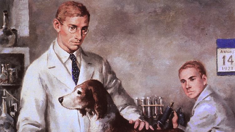 Das Gemälde zeigt die beiden Forscher Frederick Banting (l) und Charles Best samt dem Hund mit Diabetes, der nach der Insulingabe überlebte.