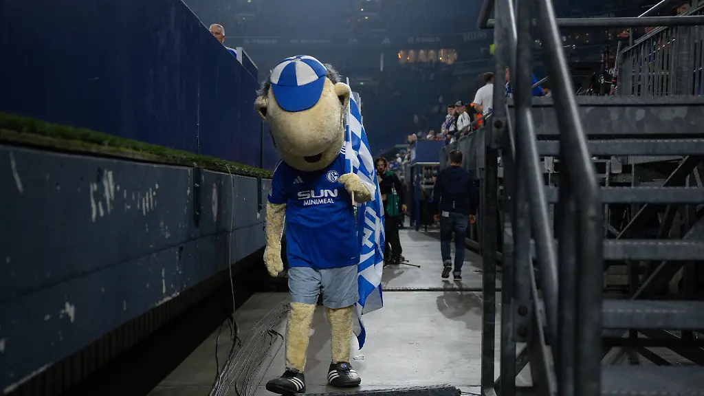 9214ee251f50831d56a72b2117e7becf