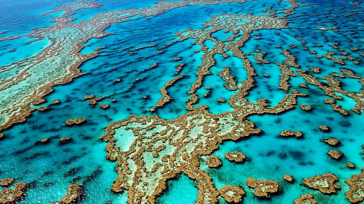 Das Foto zeigt das wohl bekannteste Korallenriff. Das Great Barrier Reef in Australien ist auch das größte Korallenriff der Welt. 