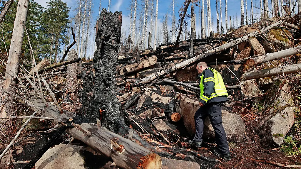 Die-Feuerwehr-im-Landkreis-Harz-stellt-Forderungen-nach-dem-Brand-am-Brocken