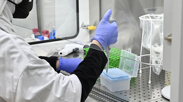 Bis zu 800.000 PCR-Tests könnten täglich in Wien ausgewertet werden.