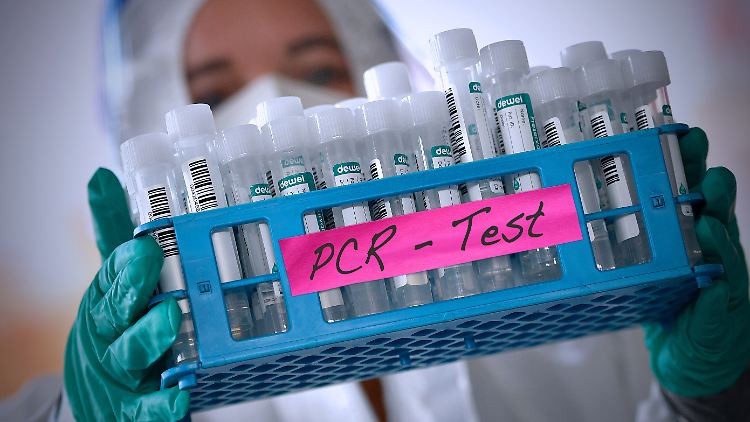 Der neue Goldstaub? Offenbar übersteigt die Nachfrage das Angebot an PCR-Tests derzeit deutlich.