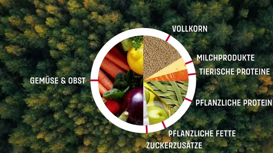 ernährung.JPG