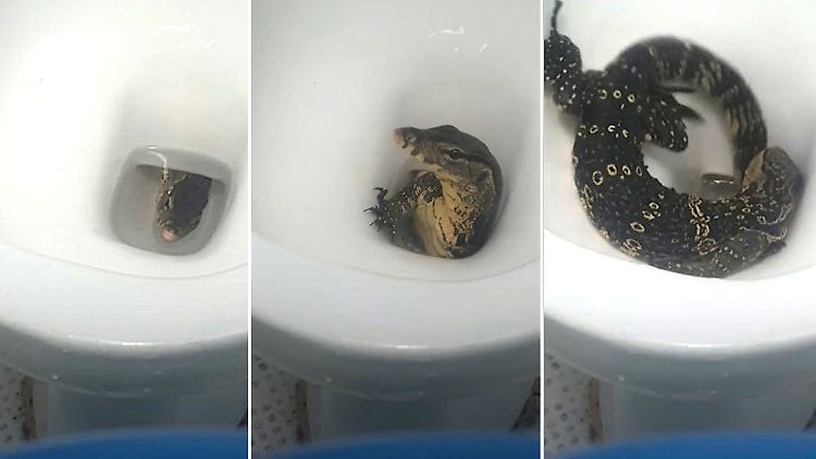 Sewing_Deutsche Bank.JPG