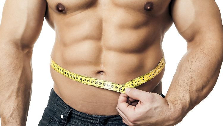 Ein Beispiel dafür ist das sogenannte Sixpack, also die gerade Bauchmuskulatur, die in der Fachsprache Musculus rectus abdominis genannt wird, ...