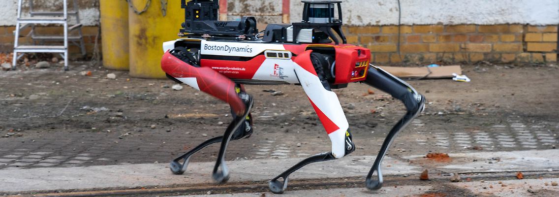 Security Robotics.jpg