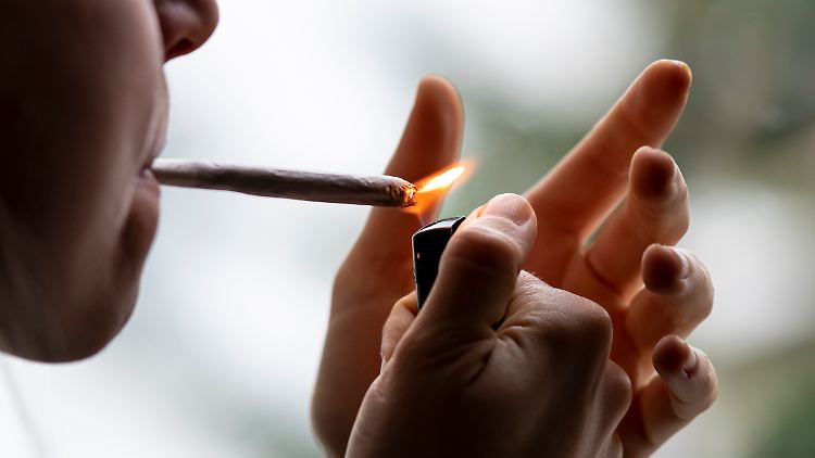 Forscher warnen besonders vor synthetischem Cannabis - es sei stärker und schädlicher, als das natürliche.