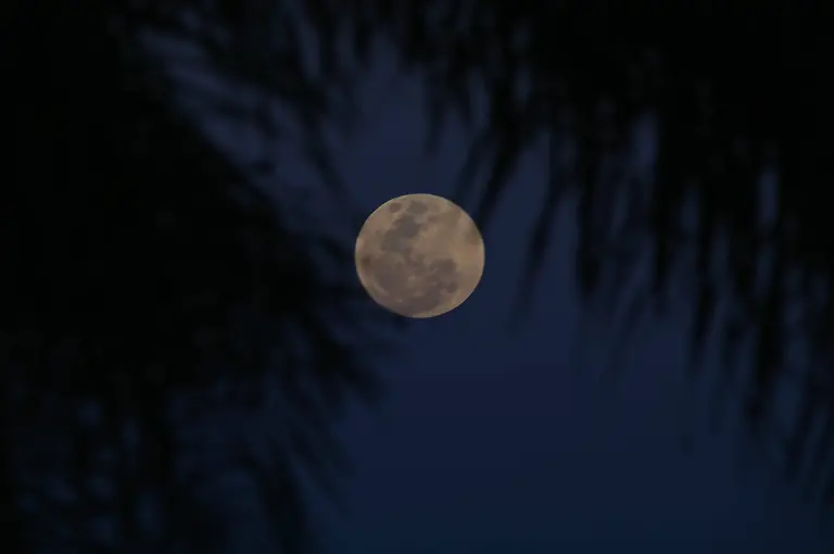 5464ccd65b4368ac2ab6ac6350eb4b59