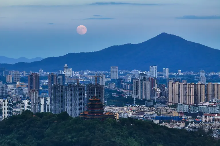 b6ff0c8c141340a1958aaf86fde0f4f5