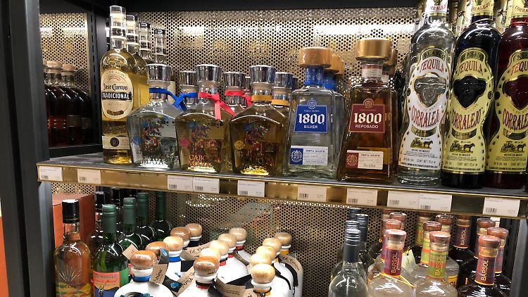Der Trend zum Agavenschnaps ist unübersehbar. 